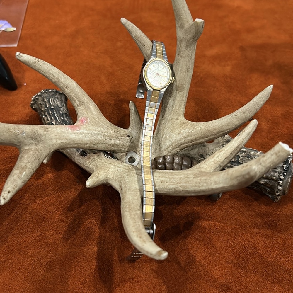 Armitron Gold and Silver Women's Watch